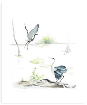 Herons On The Marsh - Fine Art Print